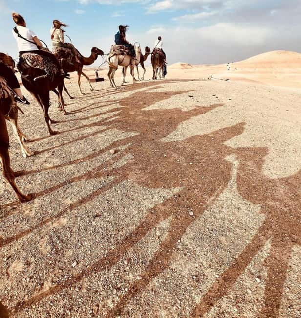 Marrakech: Agafay Desert Sunset, Camel Ride, Dinner and Show - My call: book it for a first desert night