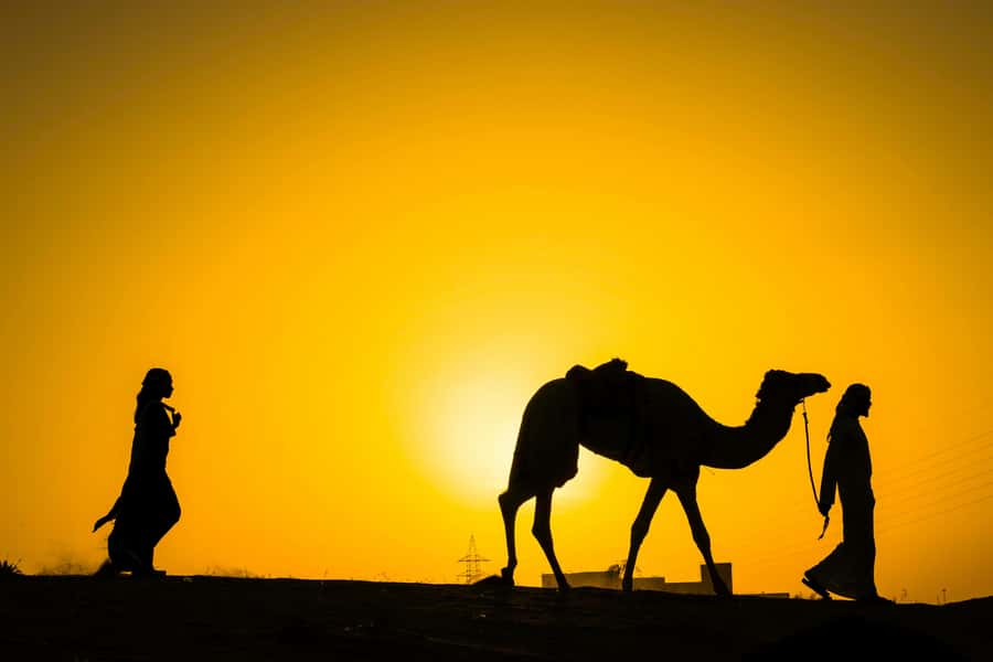Marrakech : Agafay Desert Sunset Camel Ride & Luxury Dinner - The Camel Ride During Golden Hour