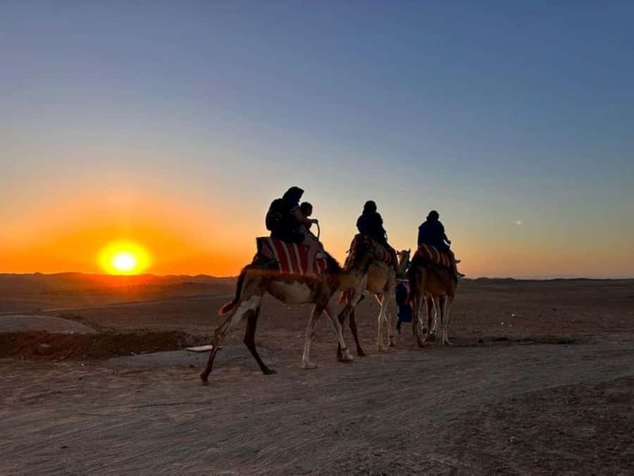Marrakech: Agafay Desert Trip with Activities and Dinner - What to bring and how to prepare