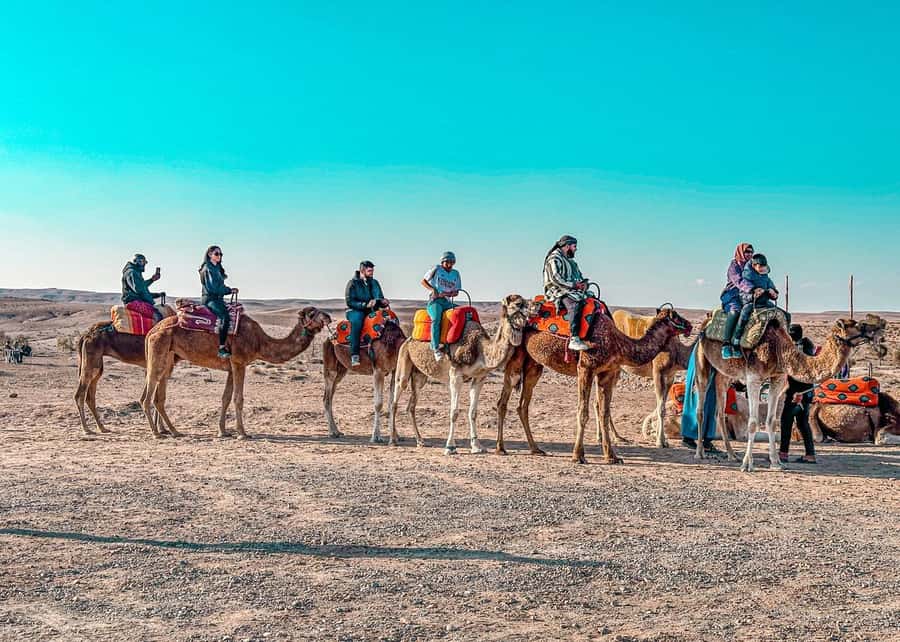Marrakech: Agafay Dinner Show, Camel Ride, Quad, or Buggy - A quiet camel ride as the sun drops