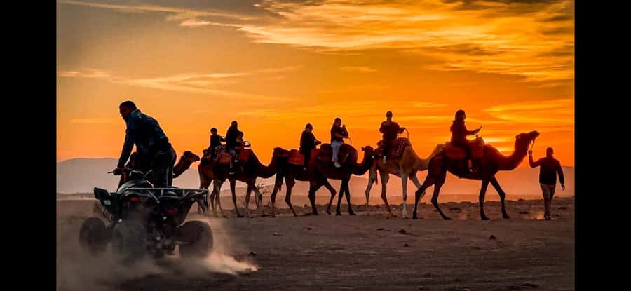 Marrakech: Agafay Dinner Show, Camel Ride, Quad, or Buggy - Who will enjoy this Agafay evening most
