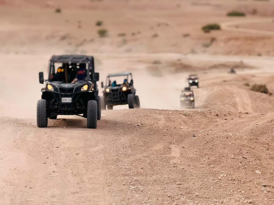 Marrakech: Agafay Dinner Show, Camel Ride, Quad, or Buggy - The argan oil cooperative adds a local stop