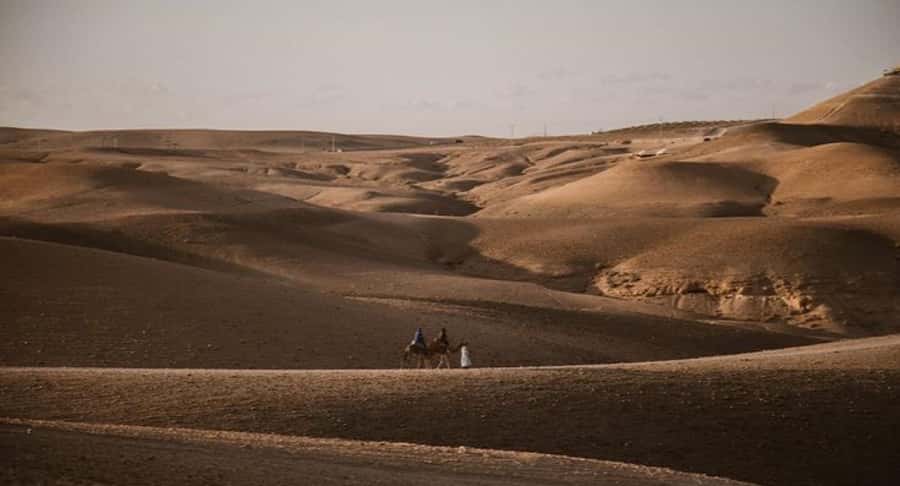 Marrakech: Agafay Ds Sunset with Dinner, Show & Tuareg Music - Is $39 a fair price?
