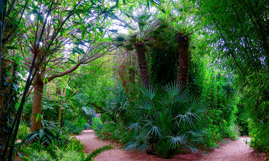 Marrakech: André Heller's ANIMA Garden Ticket - Picasso, Haring, Rodin, and the garden’s unusual art