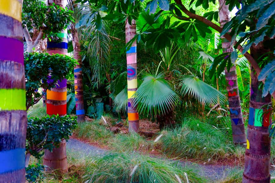 Marrakech: André Heller's ANIMA Garden Ticket - The café, mint tea, and Atlas Mountain views