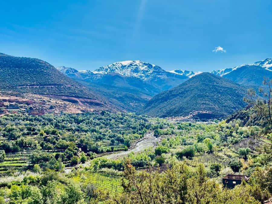 Marrakech: Atlas Mountain, Berber Villages, & Valleys Tour - Who should book this Atlas Mountain day trip?
