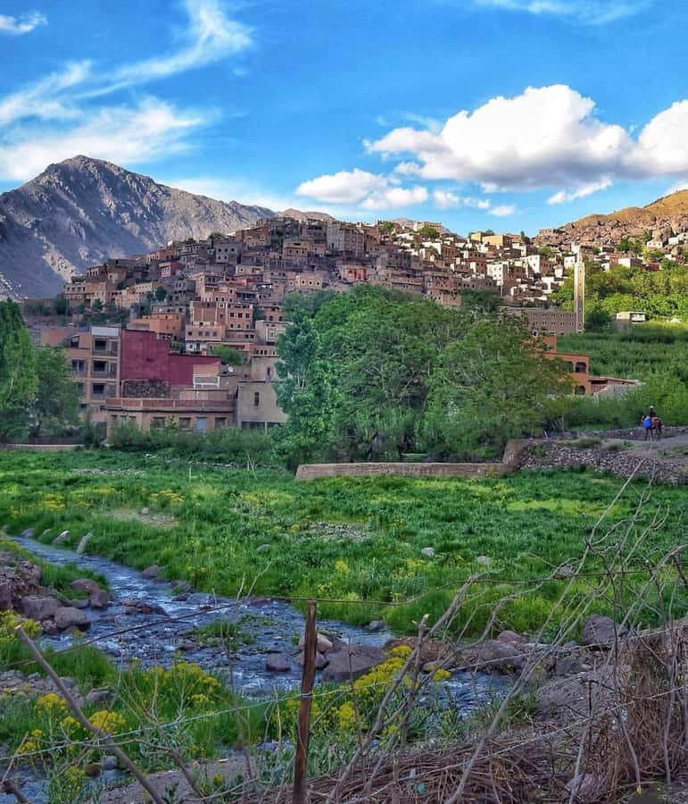 Marrakech: Atlas Mountain, Berber Villages, & Valleys Tour - Leaving Marrakech for the High Atlas