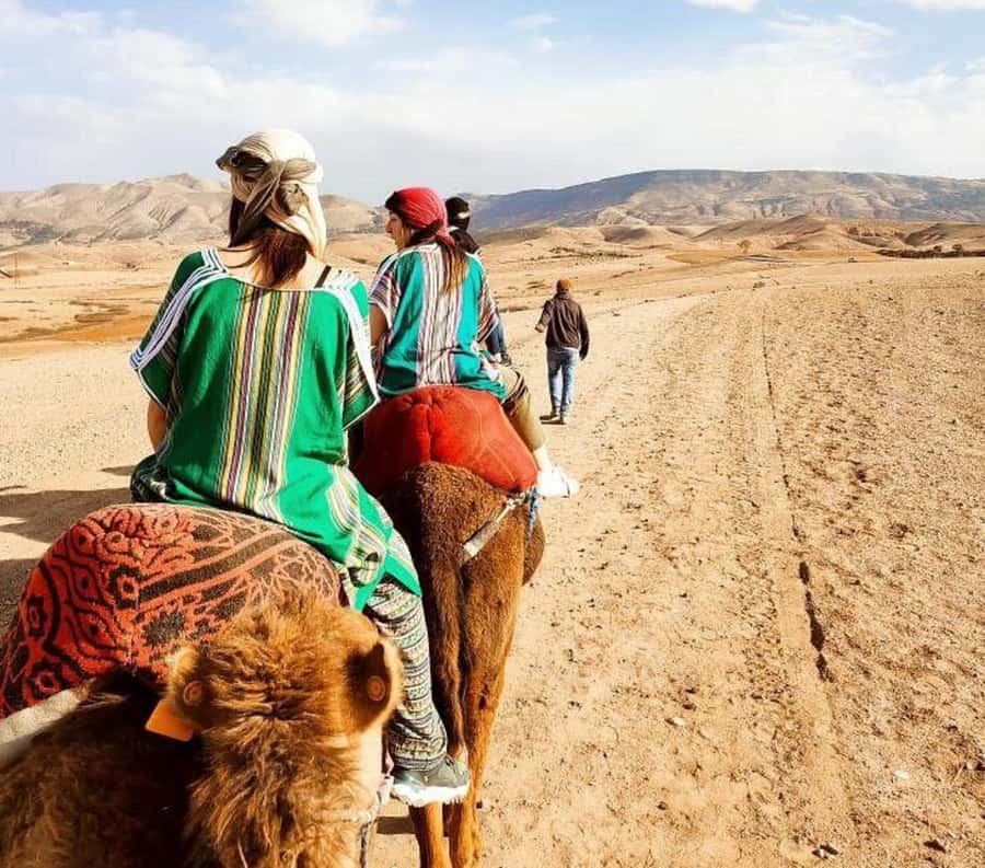Marrakech: Atlas Mountains, Agafay Desert, Waterfall & Lunch - Leaving Marrakech for Lala Takerkoust