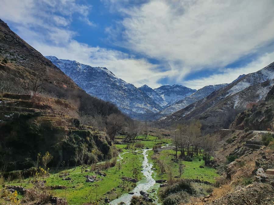 Marrakech: Atlas Mountains, Agafay Desert, Waterfall & Lunch - The market stop and a useful timing check