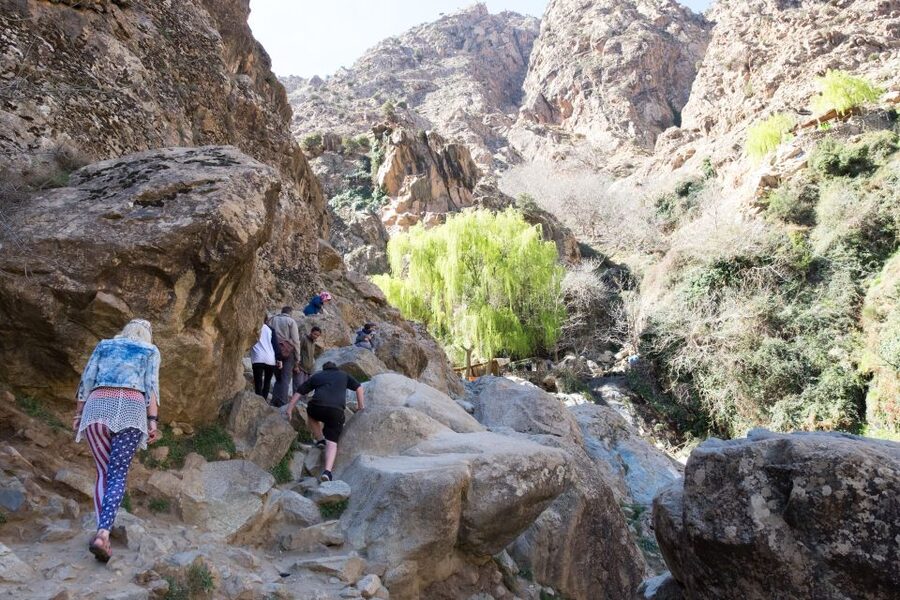 Marrakech: Atlas Mountains and 5 Valleys Day Tour with Lunch - Sidi Fares, Asni, and the fruit-growing valleys