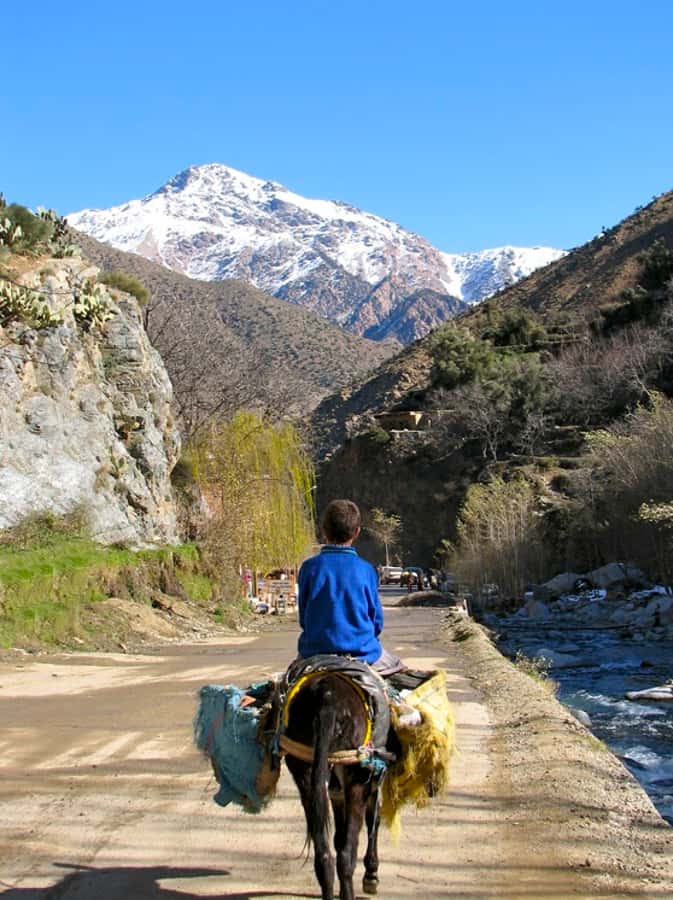 Marrakech: Atlas Mountains and Desert Safari with Lunch - A Berber lunch with tagine and homemade bread
