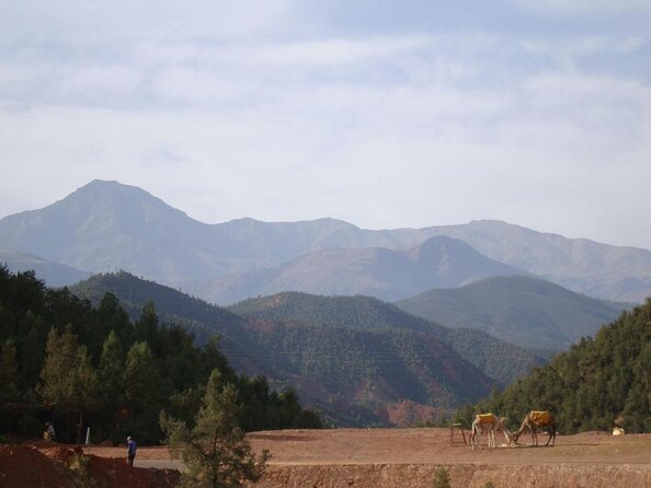 Marrakech: Atlas Mountains, Berber Villages, Agafay & Camel Ride - Key points to know
