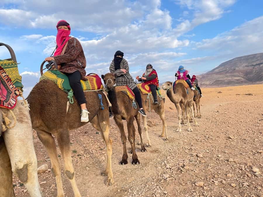 Marrakech: Atlas Mountains, Camel Ride, Waterfalls, & Lunch - Bread, tea, and the argan oil cooperative