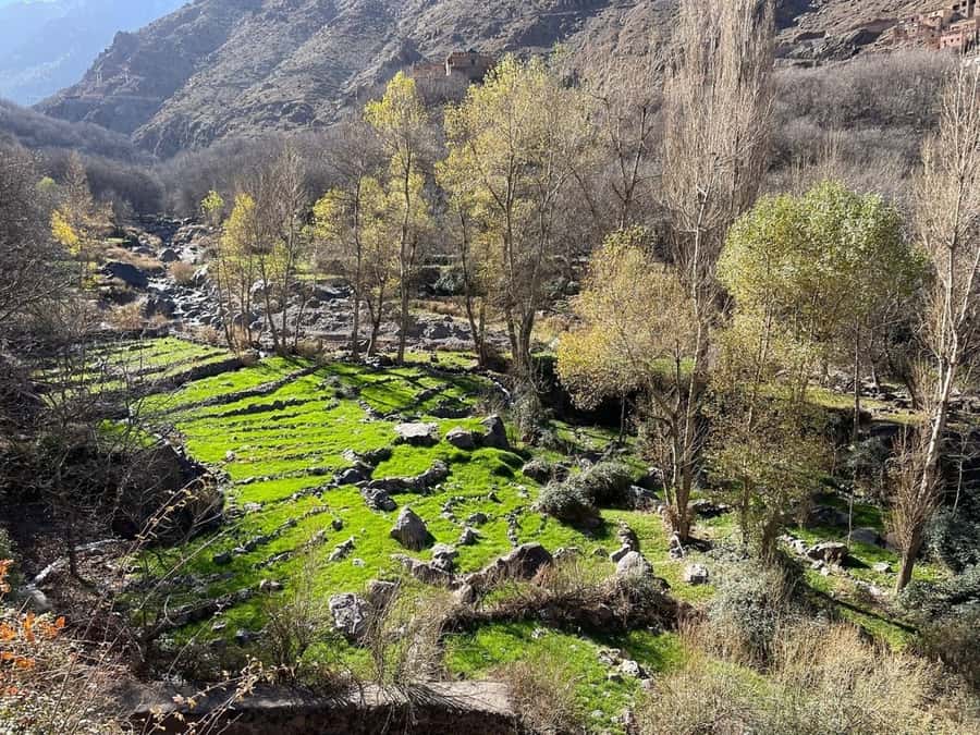 Marrakech: Atlas Mountains, Camel Ride, Waterfalls, & Lunch - A Berber lunch with a mountain view