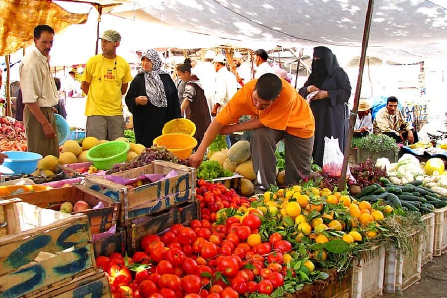 Marrakech: Atlas Mountains, Camel Ride, Waterfalls, & Lunch - Guides make the difference
