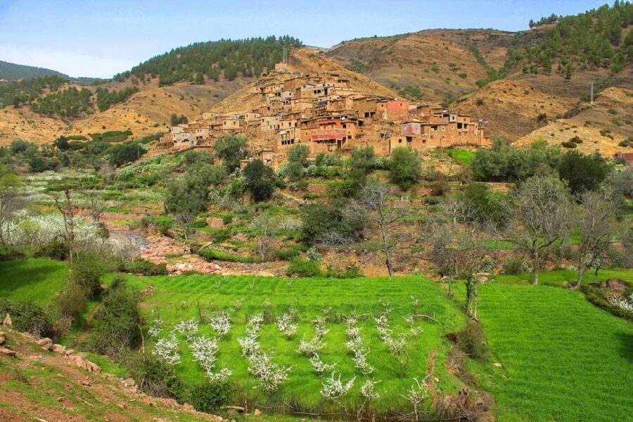 Marrakech: Atlas Mountains Day Trip, 3 Valleys & Waterfalls - A closer look at the 2.5-hour hike