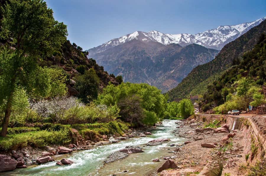 Marrakech:Atlas Mountains, Ourika Valley Day Trip,Waterfall - The value of an $11 mountain trip
