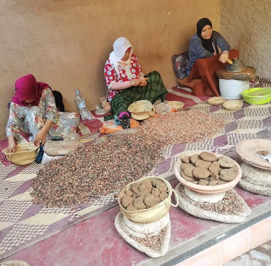 Marrakech: Atlas Mountains, Ourika Valley, Waterfall & Guide - Meeting Berber families and seeing argan oil production
