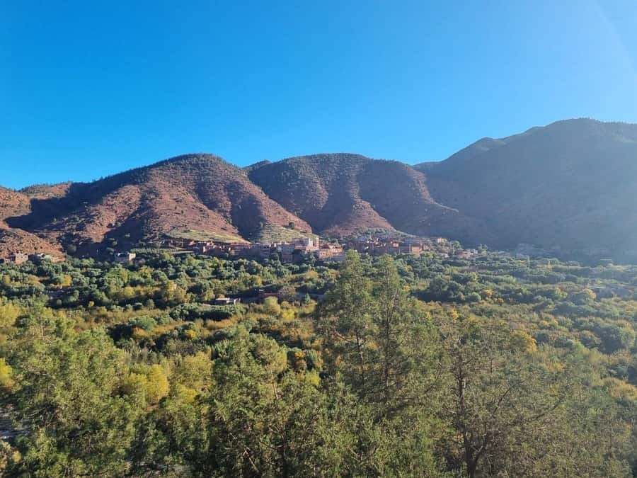 Marrakech: Atlas Mountains, Ourika Valley, Waterfall & Lunch - Practical tips for a smoother day