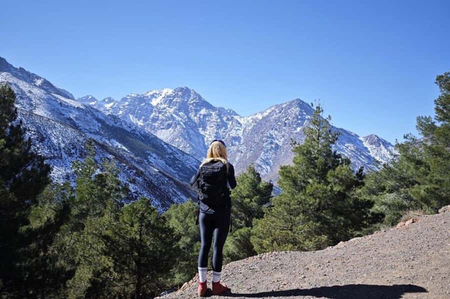 Marrakech: Atlas Mountains Summit Day Trek 2700m - Guides, group size, and pace