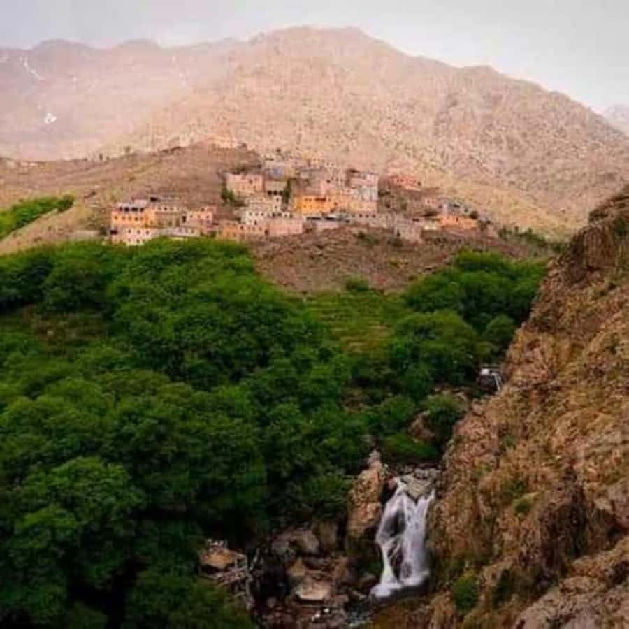 Marrakech: Atlas Mountains & Valleys Waterfall Hike w/ Lunch - A Berber lunch with a view over Imlil