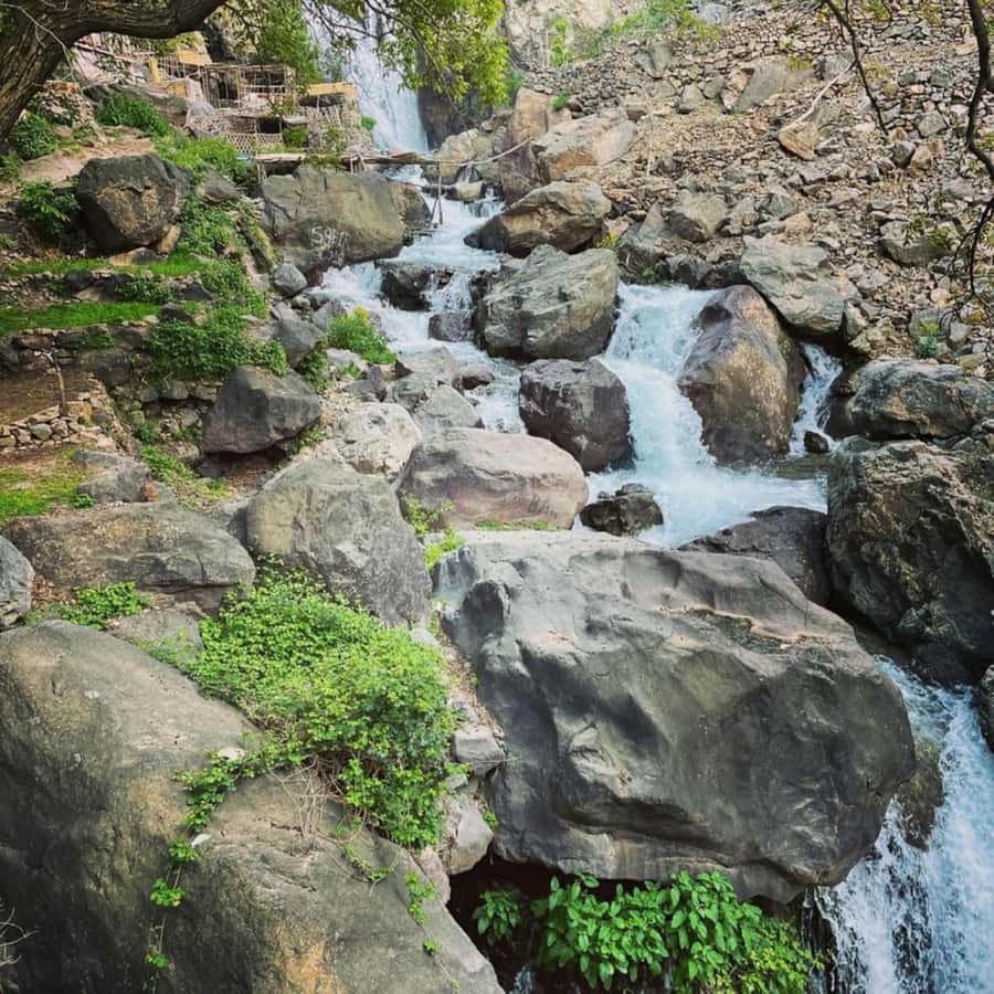 Marrakech: Atlas Mountains & Valleys Waterfall Hike w/ Lunch - The guides make the difference