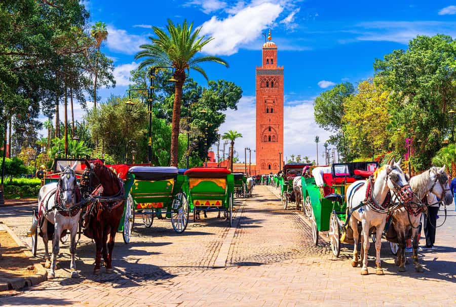 Marrakech: Bahia Palace, Madrasa Ben Youssef & Secret Garden - Bahia Palace: mosaics, courtyards, and royal ambition
