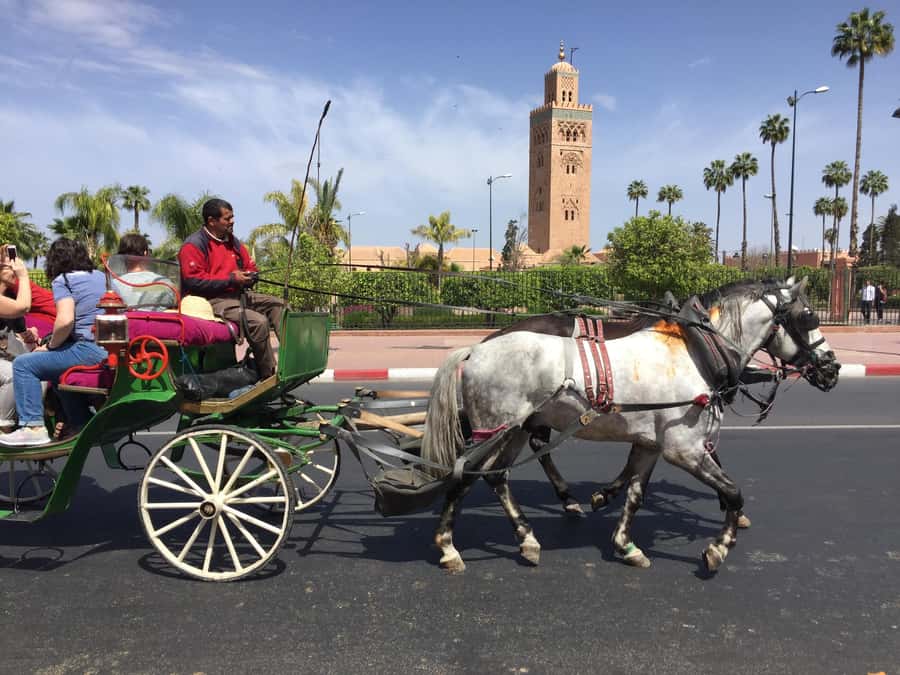 Marrakech: Bahia Palace, Saadian Tombs, & Koutoubia Mosque - Bab Agnaou and the Kasba on foot