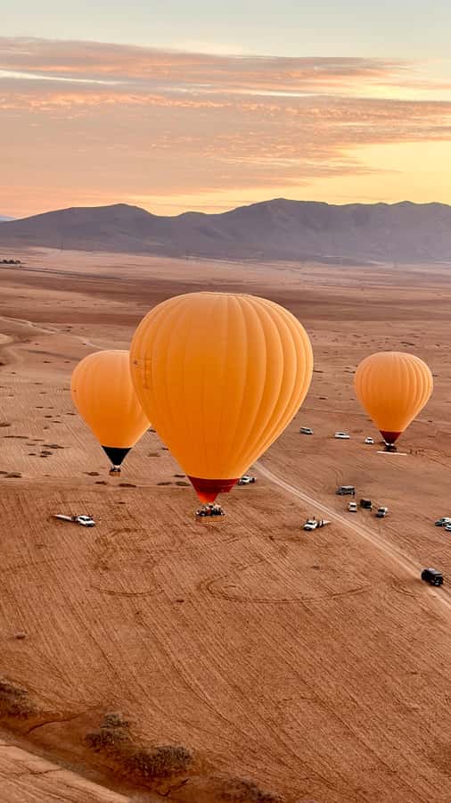 Marrakech: Balloon Flight, Berber Breakfast, and Camel Ride - A sunrise start outside Marrakech
