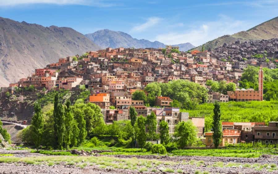 Marrakech: Berber Spa and Traditional Hammam with Steam Room - What the Marrakech hammam experience is really like