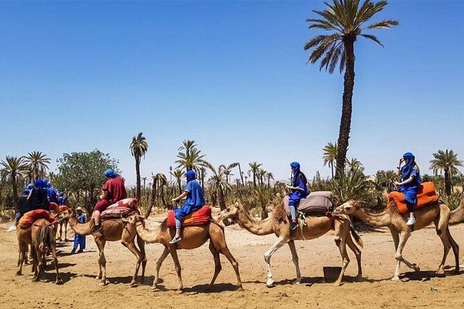 Marrakech Best Day Trip from Casablanca - Majorelle Garden and the famous blue walls