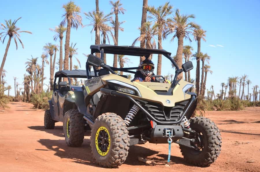 Marrakech: Buggy Adventure & Horse Riding in the Palm Grove - Who will enjoy this outing most