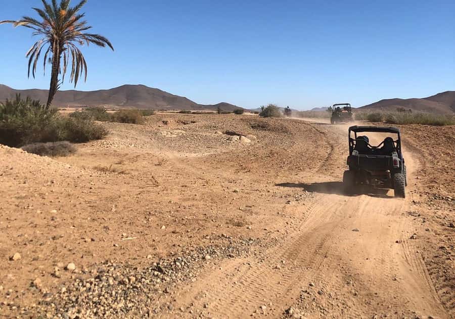 Marrakech: Buggy Experience at Palmeraie with Hotel Pickup - Why the Palmeraie Makes a Good Buggy Setting