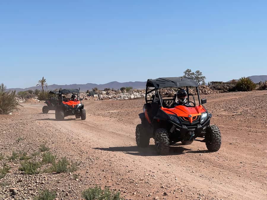 Marrakech Buggy Palmerie and Desert - Key points to know before you book