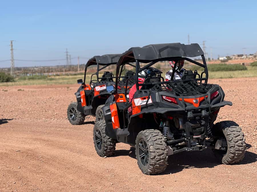 Marrakech Buggy Palmerie and Desert - How much value do you get for $44?