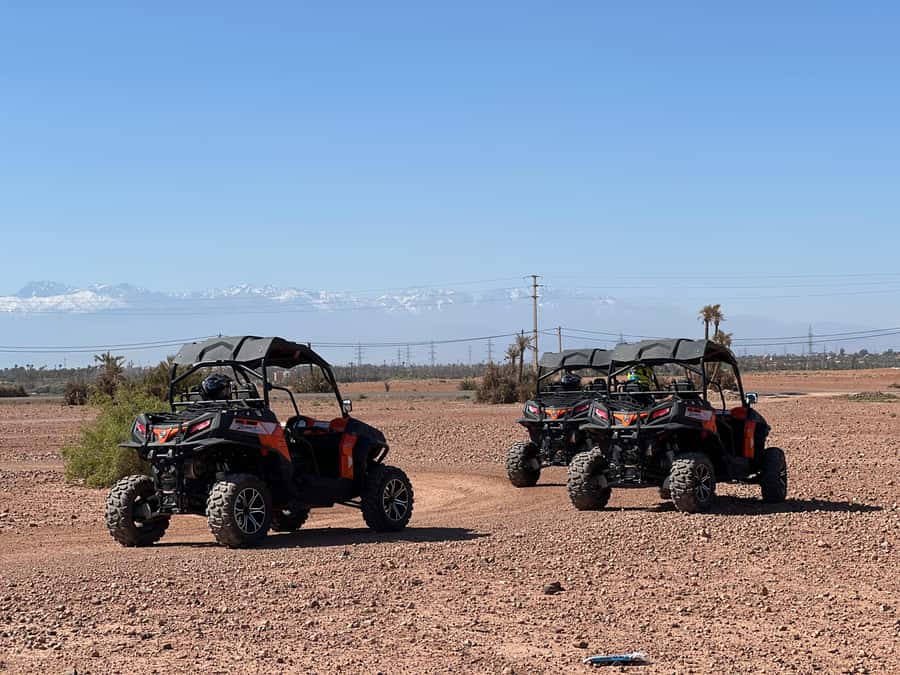 Marrakech Buggy Palmerie and Desert - Practical tips for a smoother ride