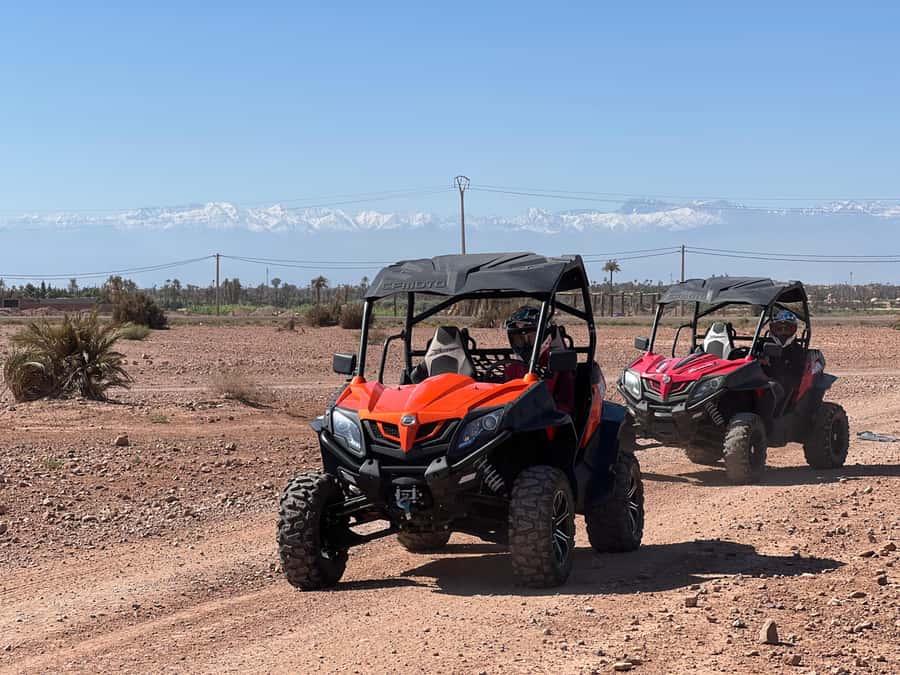 Marrakech Buggy Palmerie and Desert - Should you book the Marrakech buggy tour?
