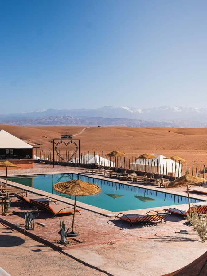 Marrakech: Buggy Ride, Pool & Dinner Show in Agafay Desert - What the $67 price includes