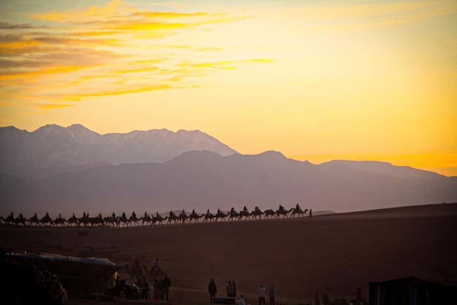 Marrakech: Camel Ride, Dinner, Pool, and Fire Show in Agafay - Drums, Dancing, and the Fire Show