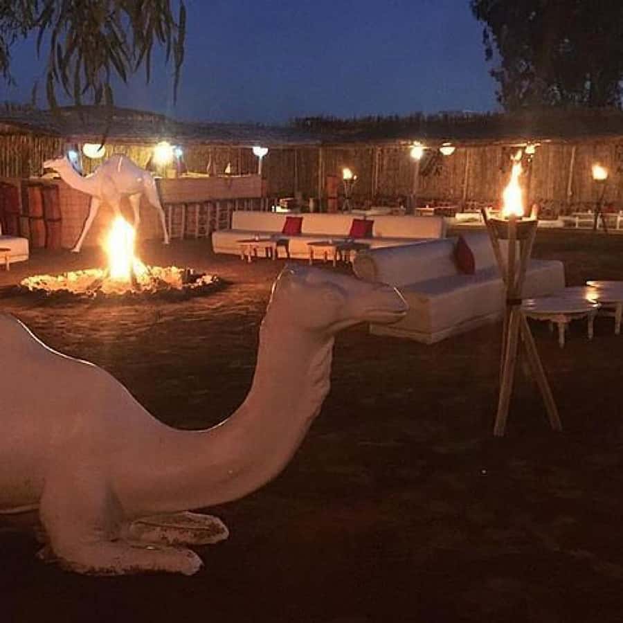 Marrakech: Camel Ride & Dinner with Sunset in Agafay Desert - FAQ
