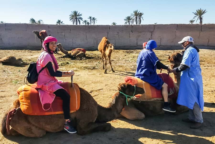 Marrakech: Camel Ride in the Oasis Palmeraie - Should you book the Palmeraie camel ride?