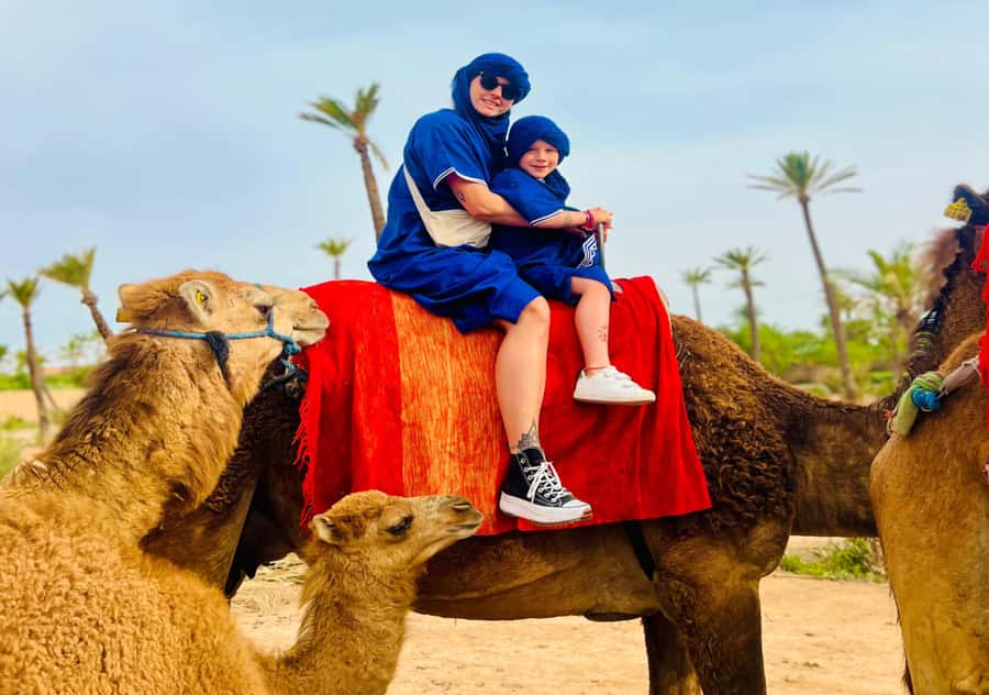 Marrakech: Camel Ride in the Oasis Palmeraie - Pickup from your Marrakech hotel or riad