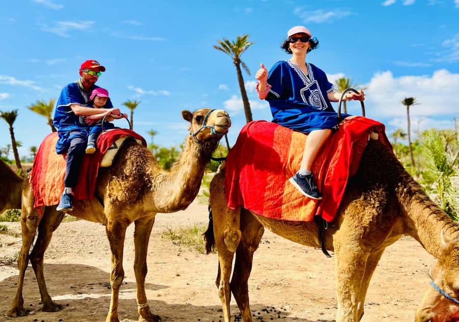 Marrakech: Camel Ride in the Oasis Palmeraie - Riding through palms, orange trees, and village paths