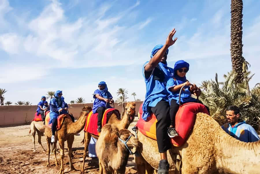 Marrakech: Camel Ride in the Oasis Palmeraie - A calm ride for families and first-time riders