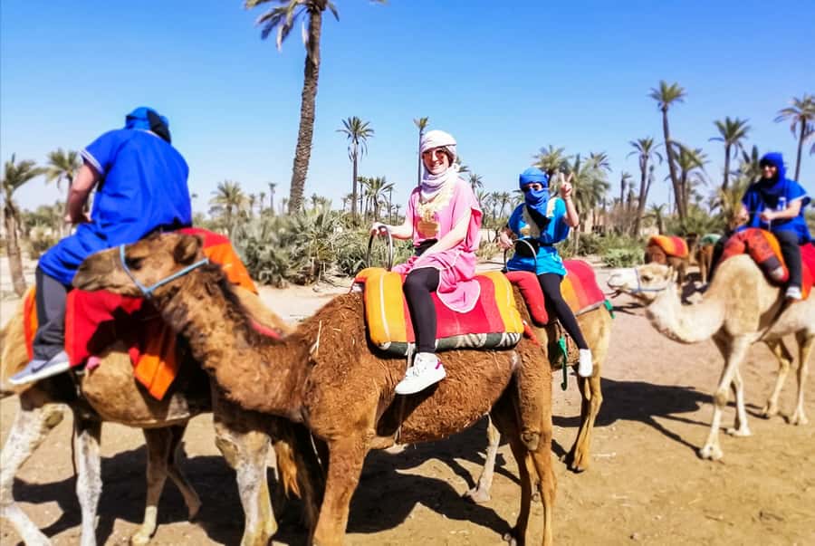 Marrakech: Camel Ride in the Oasis Palmeraie - Mint tea and the nomadic-area stop