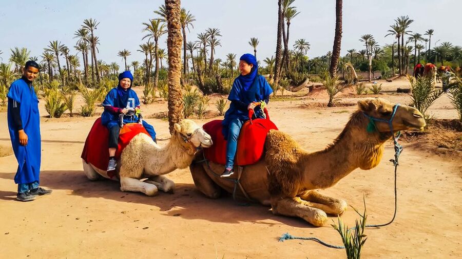Marrakech: Camel Ride in the Oasis Palmeraie - Is $26 good value?