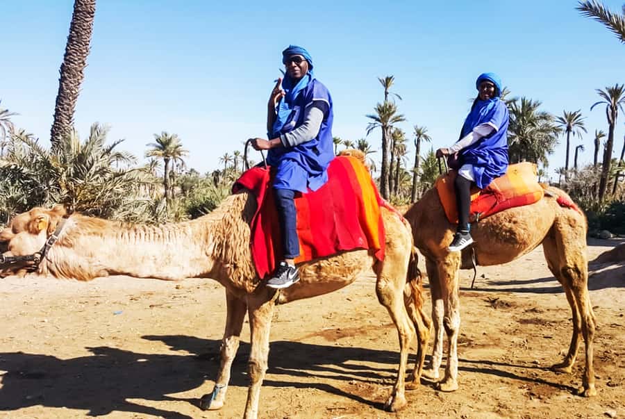 Marrakech: Camel Ride in the Oasis Palmeraie - Who should book this camel ride?