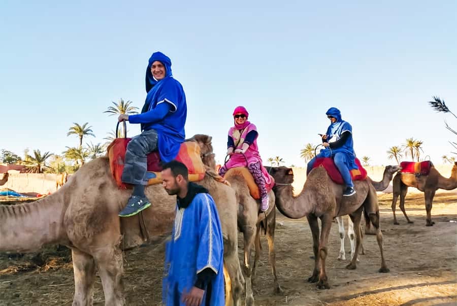 Marrakech: Camel Ride in the Oasis Palmeraie - Practical tips for a smoother outing