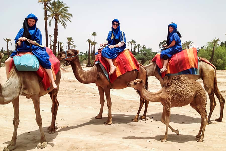 Marrakech: Camel Ride in the Oasis Palmeraie - Dressing for the camel ride