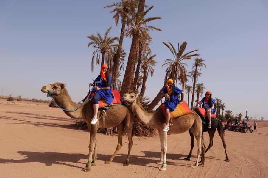 Marrakech camel ride in the palm grove - A slow ride through Marrakech’s Palm Grove